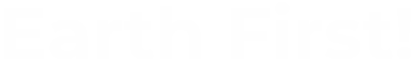 ef-journal-Logo